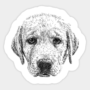 Collection Inktober 2016 - Sad Dog Sticker